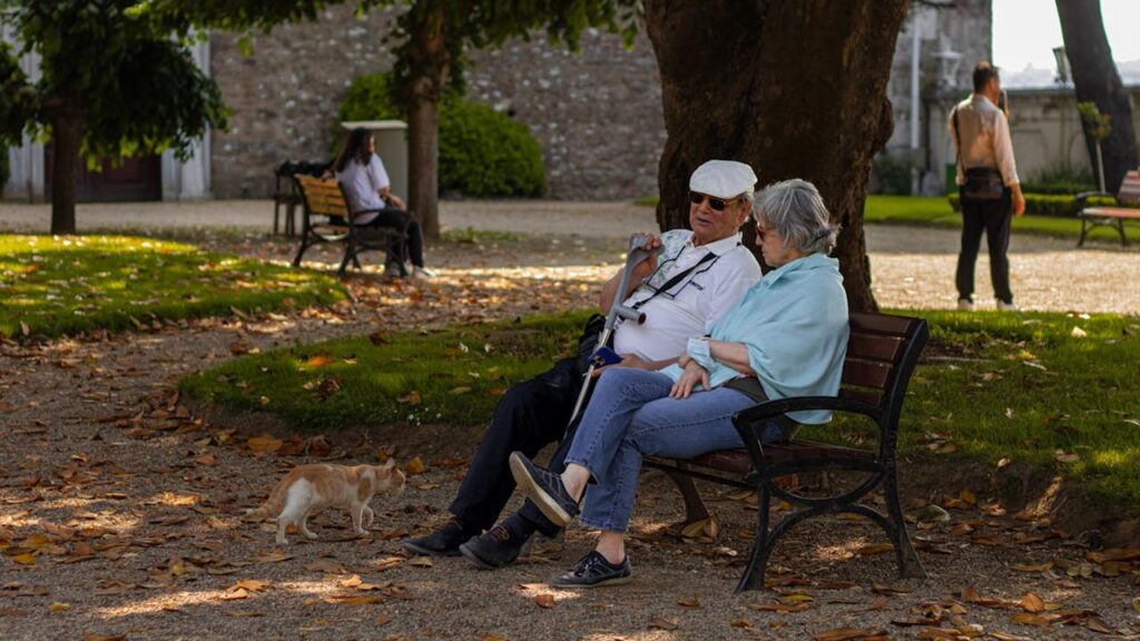 Discretionary Spending and Lifestyle Choices