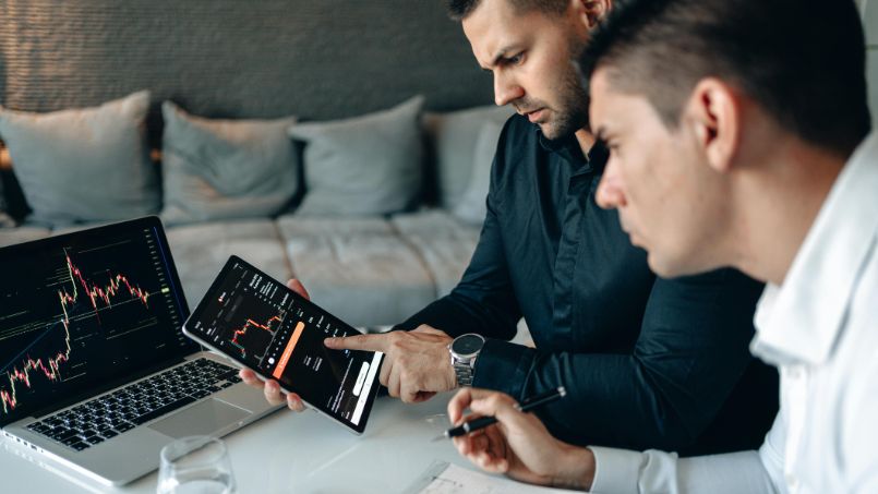 investigate the cryptocurrency's whitepaper