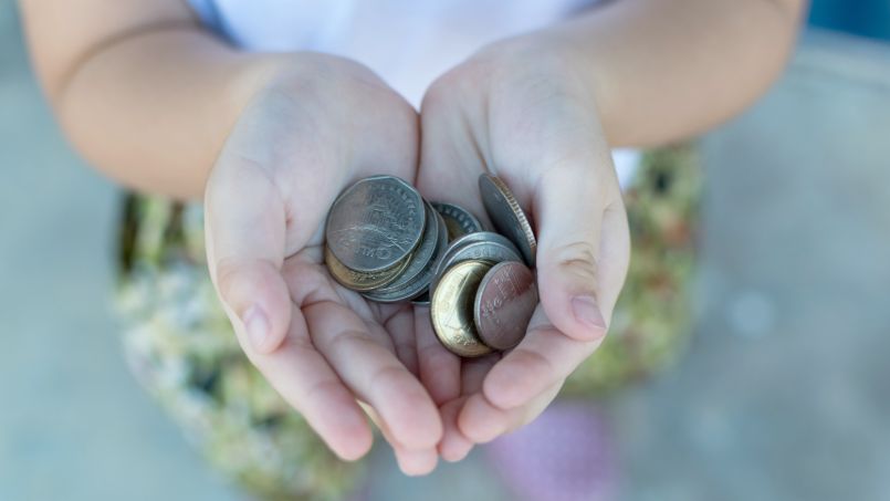 Invest in Low-Cost Index Funds