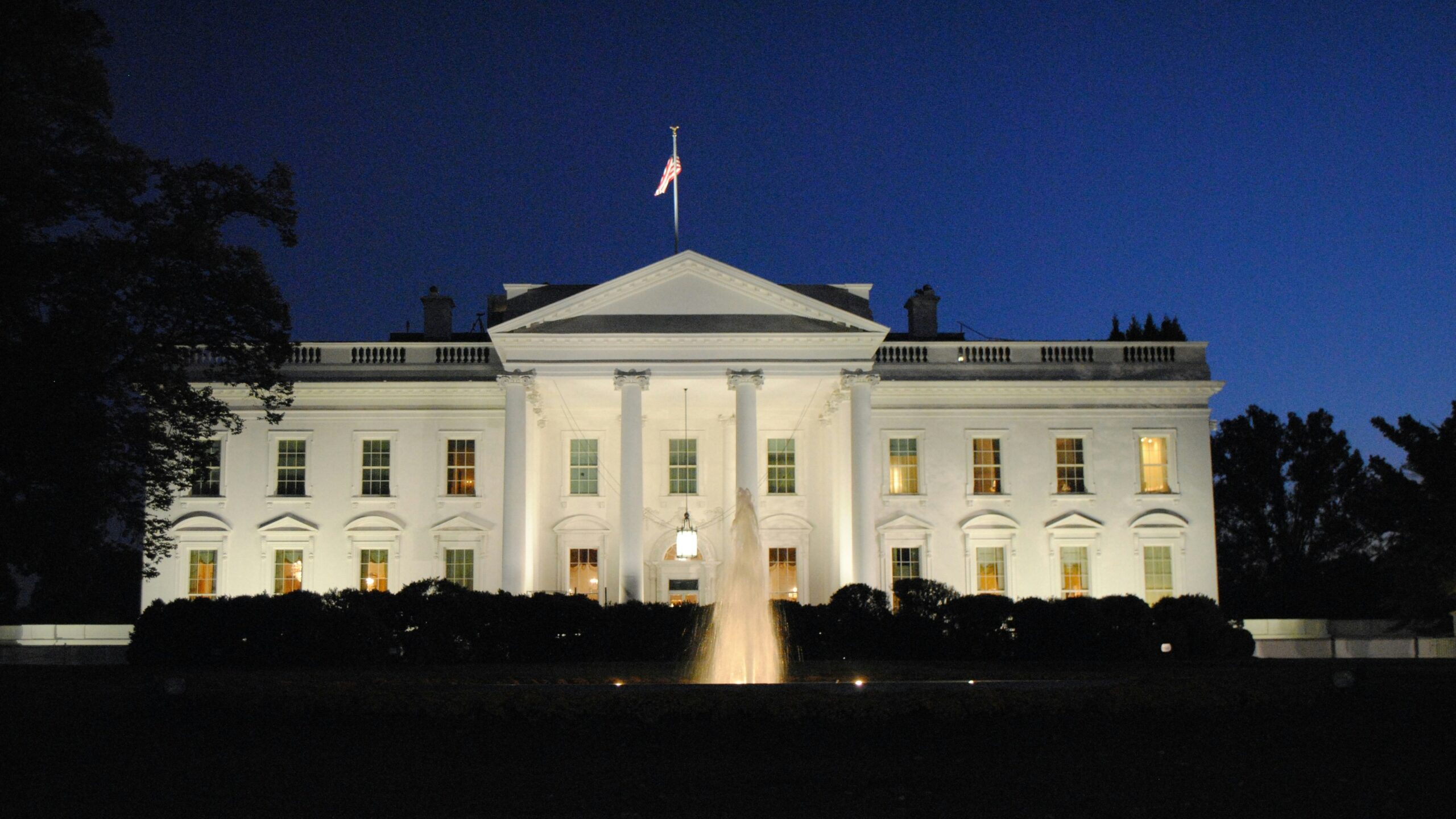 white concrete building during night time